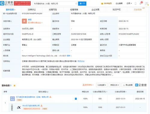 科大訊飛落子大理，智能科技公司聚焦信息系統集成服務